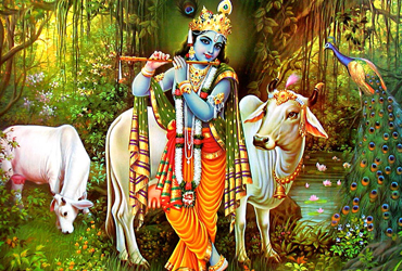 top vedic indian astrologer sydney